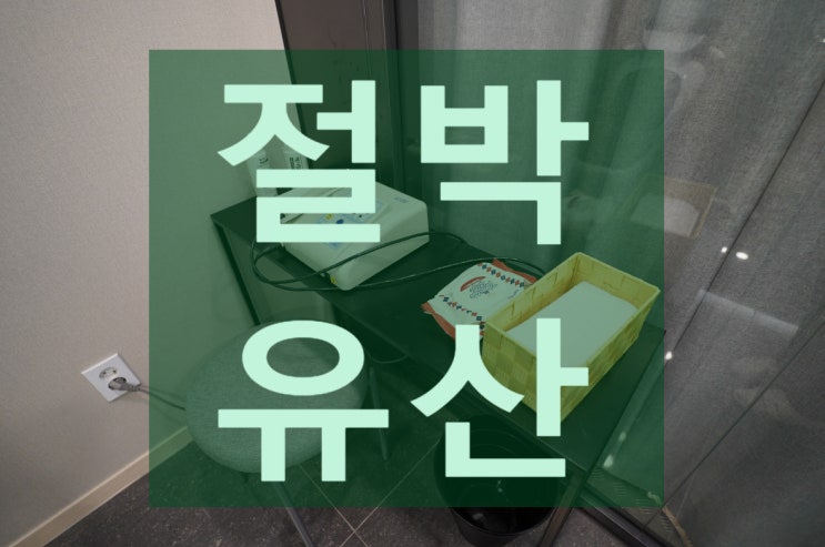  광명절박유산 고민하는 사이에