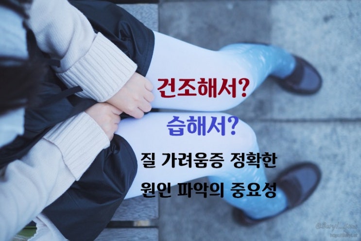  질 가려움증, 건조해서? 습해서? 정확한 원인 파악이 중요합니다.