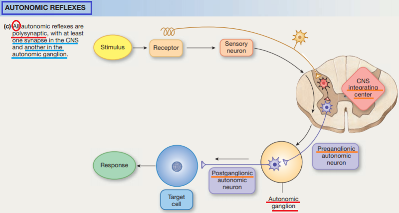 Integrative Physiology I: Control of Body Movement : 네이버 블로그