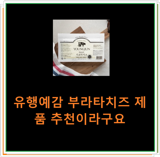 유행예감 부라타치즈 제품 추천이라구요 유행예감 부라타치즈 제품 추천이라구요