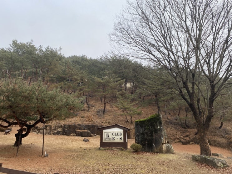  제천 이에스리조트 아이들 뛰어놀기 좋은 곳