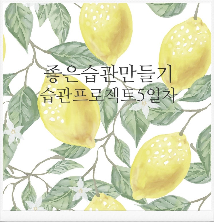  좋은 습관 만들기  습관 프로젝트 5일차