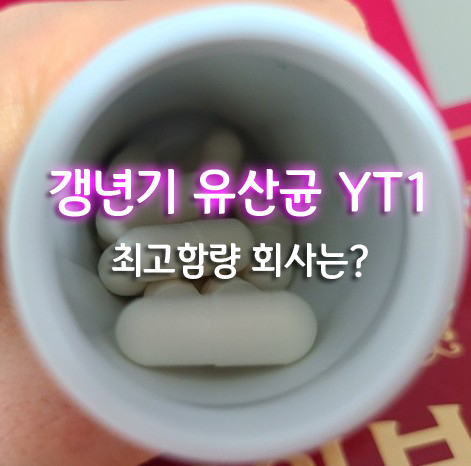 갱년기 유산균 YT1 - 국내 최고 함량인 상품은?