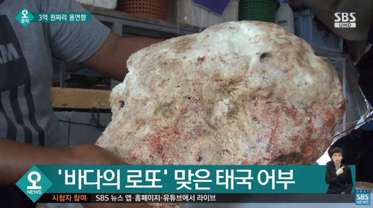  바다의 로또 용연향 고래 배설물 가치