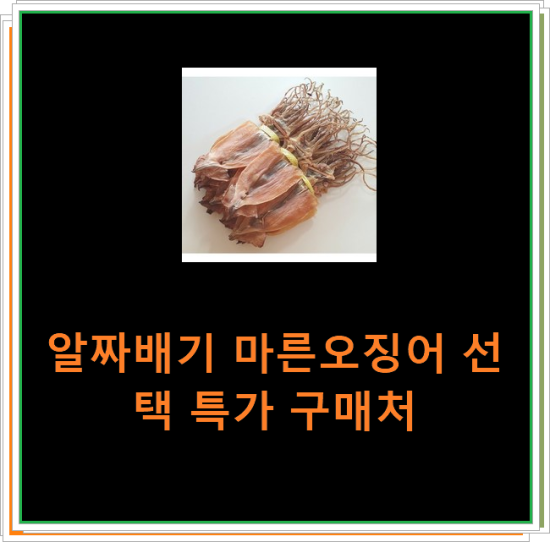 알짜배기 마른오징어 선택 특가 구매처