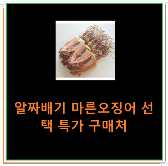 알짜배기 마른오징어 선택 특가 구매처 알짜배기 마른오징어 선택 특가 구매처