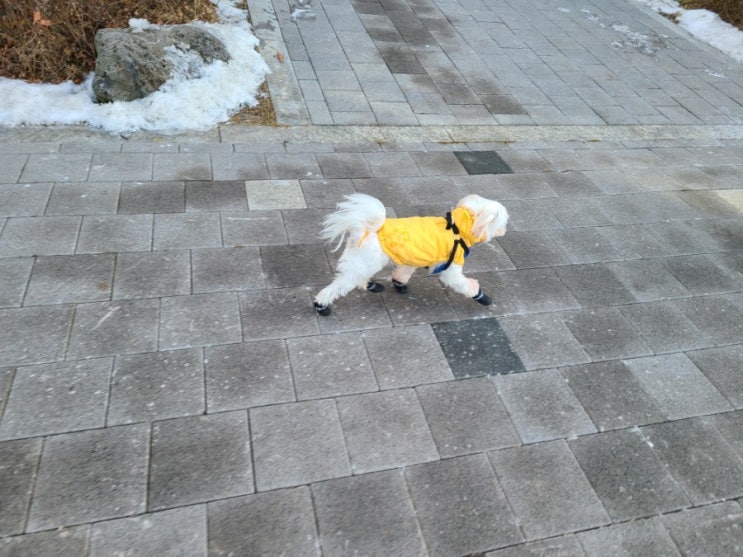  강지의 오늘 일상