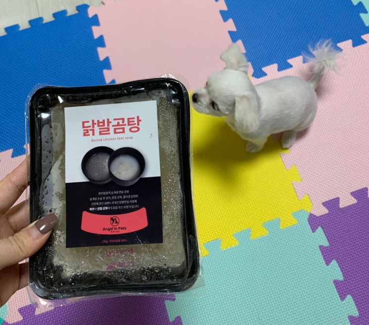  강아지관절보양식 : 닭발곰탕, 한우곰탕 쓸개골 탈구 예방에 좋은 건강한 수제간식