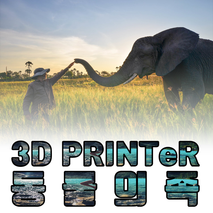 장애동물을 위한 3D프린팅 기술의 활용