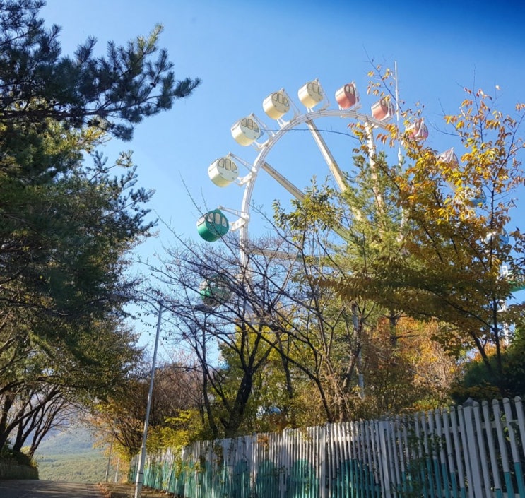  1월 일상_ 첫째의 생일과 쌍커플/ 블태기 초기증상?!