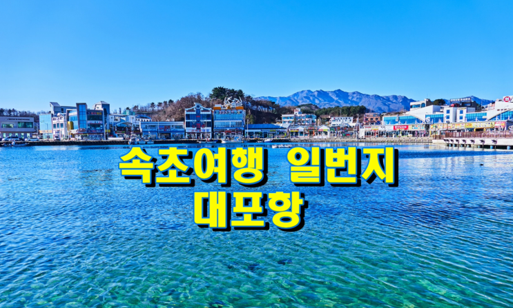 강원도 속초여행 일번지 대포항