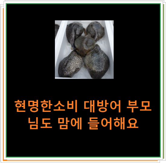 현명한소비 대방어 부모님도 맘에 들어해요 현명한소비 대방어 부모님도 맘에 들어해요