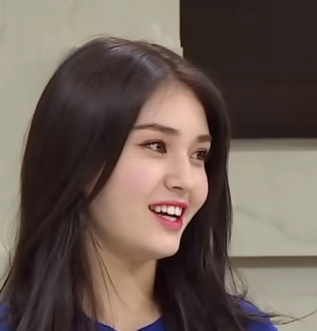 전소미 동생 차 국적 본명 소속사 태권도 소울