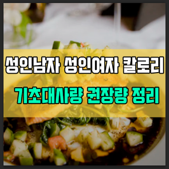 성인남자 성인여자 하루 칼로리 기초대사량 권장량 정리