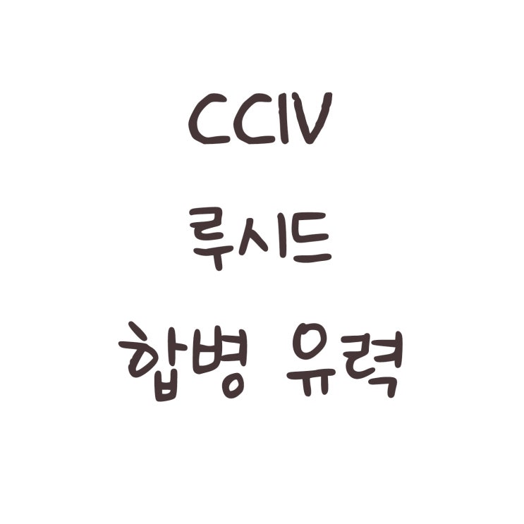  CCIV 루시드 유력하다? LA타임즈 기사