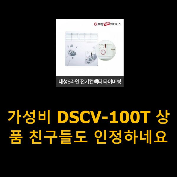 가성비 DSCV-100T 상품 친구들도 인정하네요