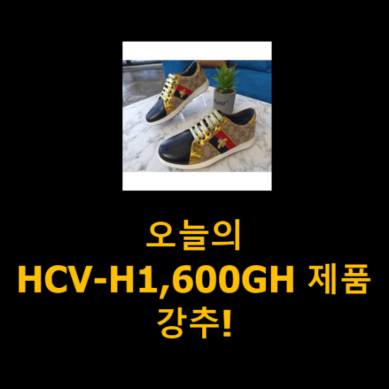오늘의 HCV-H1,600GH 제품 강추!