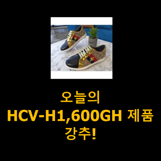  오늘의 HCV-H1,600GH 제품 강추!