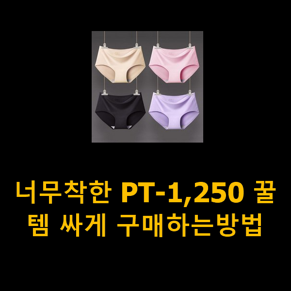  너무착한 PT-1,250 꿀템 싸게 구매하는방법
