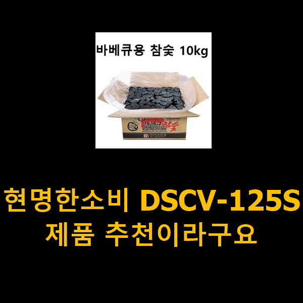  현명한소비 DSCV-125S 제품 추천이라구요