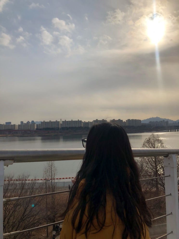  서울 가볼만한곳 서울숲 산책길 추천