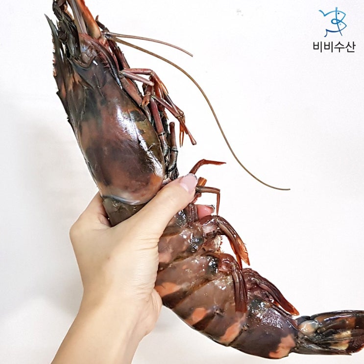 인기 많은 비비수산 킹타이거새우 1kg 5미 킹블랙타이거새우, 1개 ··· 인기 많은 비비수산 킹타이거새우 1kg 5미 킹블랙타이거새우, 1개 ···