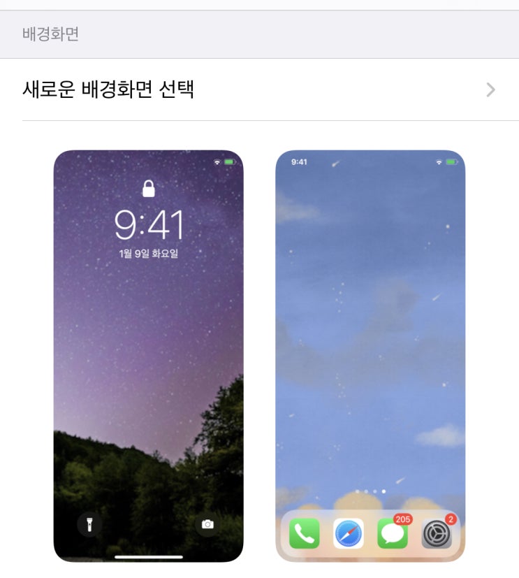  [나] 222문답 #4. '나'