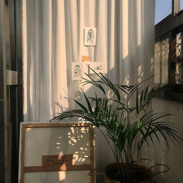  [사진 #181] 아이폰 텀블러 배경화면 인스타 감성사진