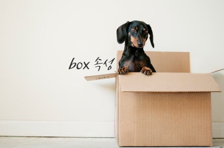  box 속성[border, border-width, border-style, border-color, border-radius]