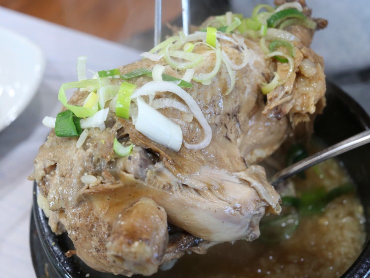  강원도 양양 낙산사 맛집 소나무집약초백숙 국물이 찐