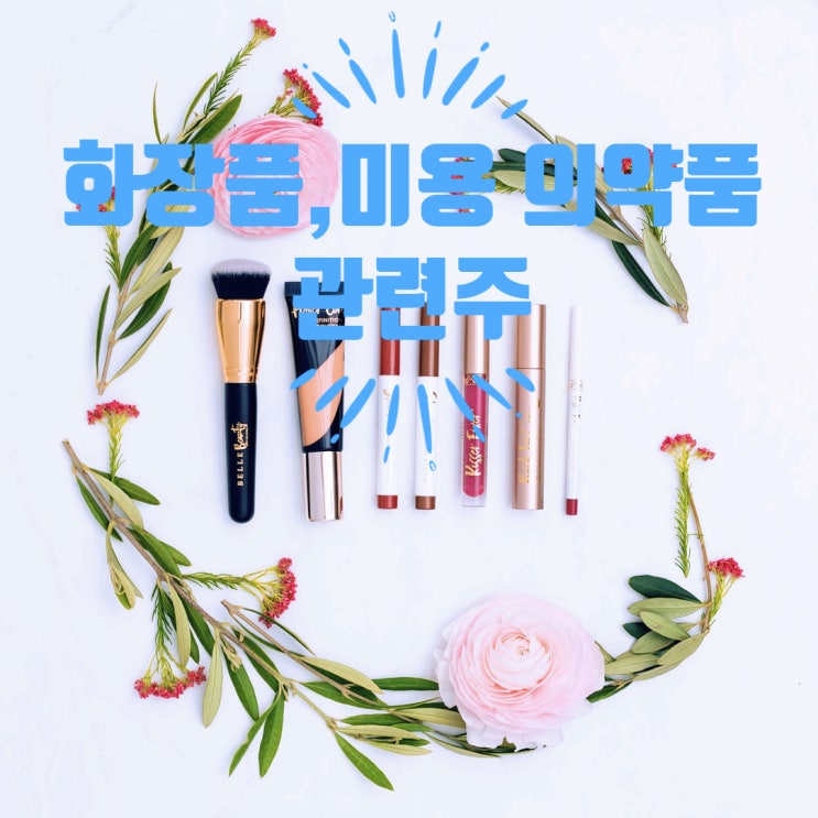  화장품 및 미용 의약품 관련주 핵심정리