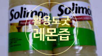  솔리몬 레몬즙 활용해서 요리하기