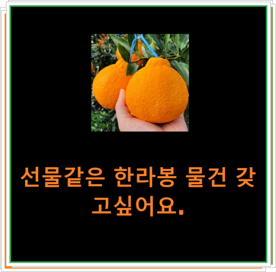 선물같은 한라봉 물건 갖고싶어요.