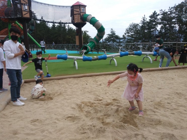  경남여행)아이와 가볼만한 거제도 숲소리공원 양떼목장/ 학동해수욕장