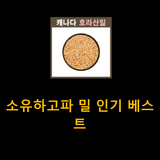  소유하고파 밀 인기 베스트