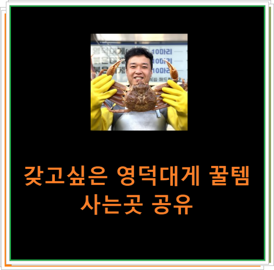 갖고싶은 영덕대게 꿀템 사는곳 공유