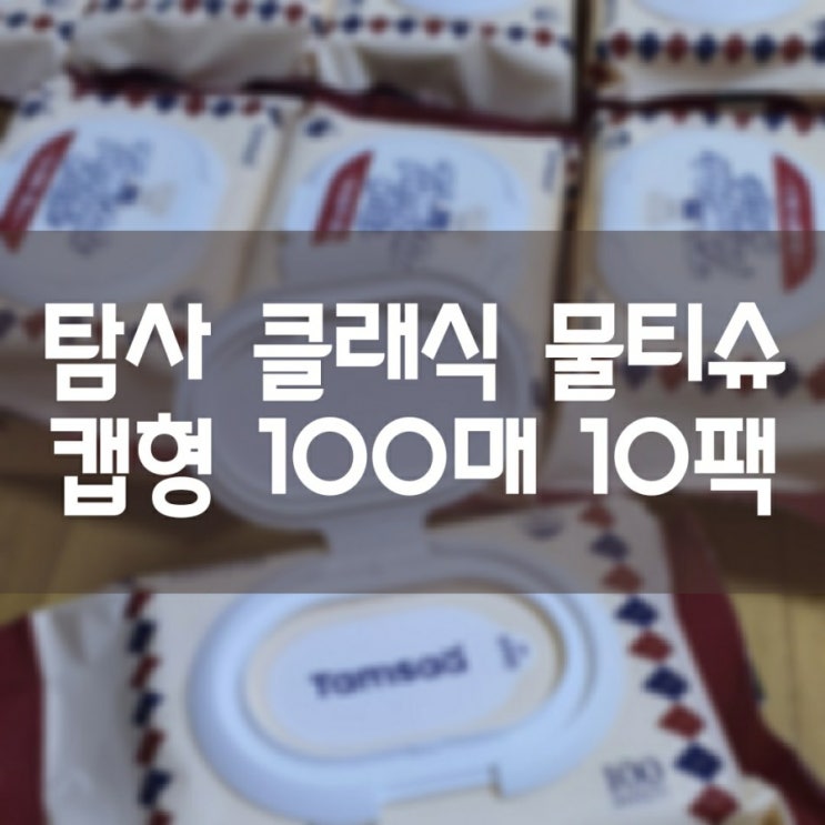  탐사 클래식 물티슈 캡형