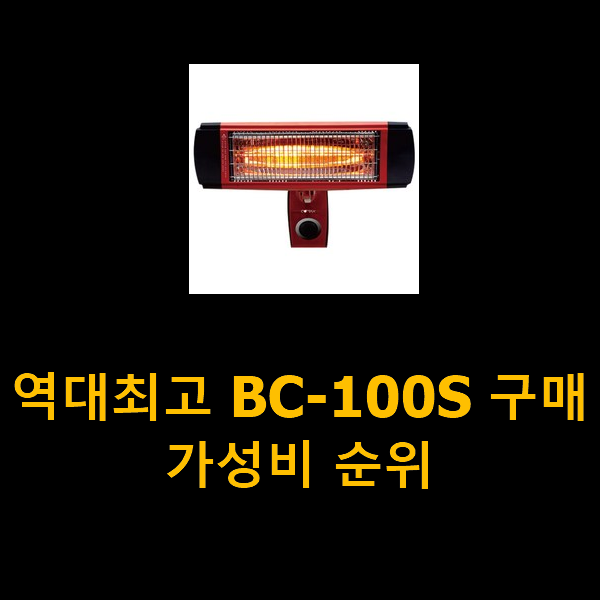 역대최고 BC-100S 구매 가성비 순위