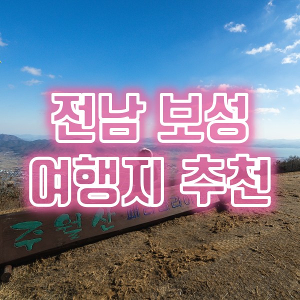  전남 보성 여행지(보성녹차리조트, 율포솔밭해수욕장, 비봉공룡알화석지, 득량역 추억의거리, 주월산 패러글라이딩 활공장)