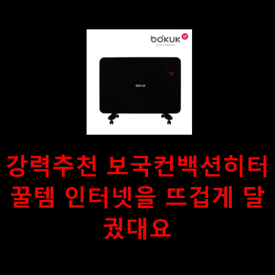  강력추천 보국컨백션히터 꿀템 인터넷을 뜨겁게 달궜대요