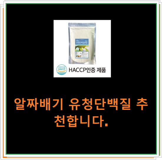 알짜배기 유청단백질 추천합니다. 알짜배기 유청단백질 추천합니다.