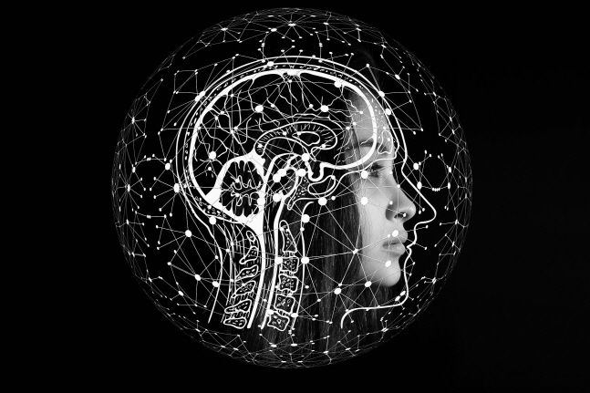 이루다가 촉발시킨 AI 리스크…전용 보험 개발 가속도 이루다가 촉발시킨 AI 리스크…전용 보험 개발 가속도