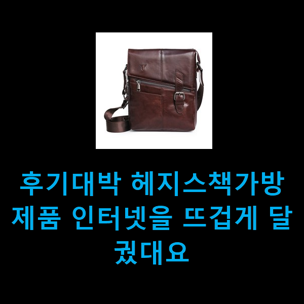  후기대박 헤지스책가방 제품 인터넷을 뜨겁게 달궜대요