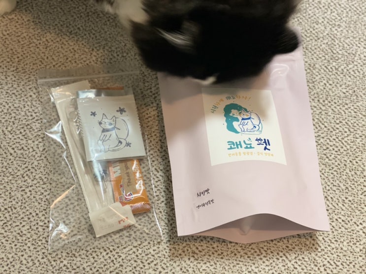  고양이 방광염 결석 영양제 쾌뇨펫  ; 유리너리케어, 혈뇨,결석에 좋은 수제영양제