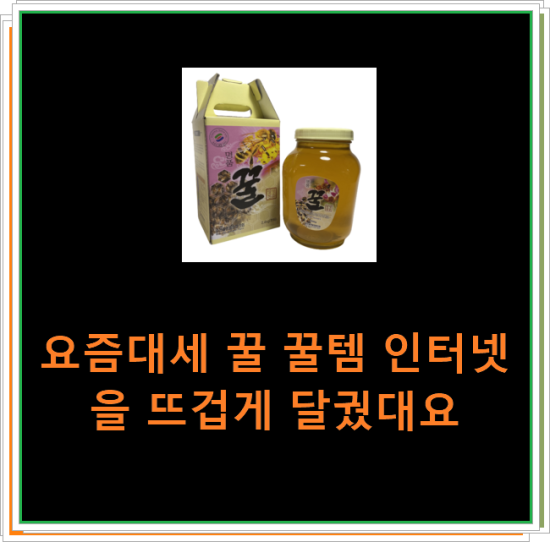 요즘대세 꿀 꿀템 인터넷을 뜨겁게 달궜대요 요즘대세 꿀 꿀템 인터넷을 뜨겁게 달궜대요