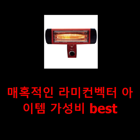  매혹적인 라미컨벡터 아이템 가성비 best