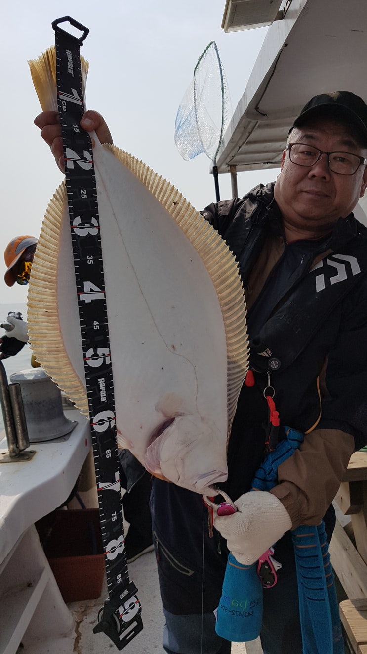  2019년 5월초 78cm 대광어