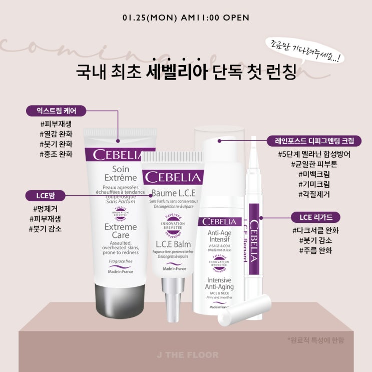  D-2! 기다리시던 세벨리아 핫딜이 찾아옵니다 c