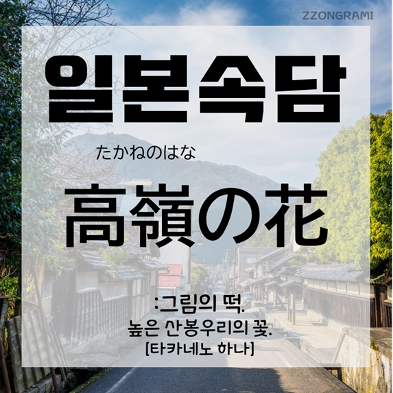  [일본어 공부] 일본 속담 :  「高嶺の花」, 무슨 뜻일까?