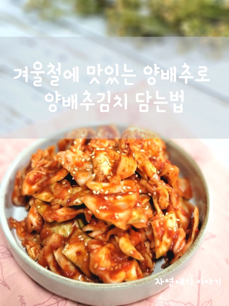  겨울철에 맛있는 양배추로 양배추김치 담는법